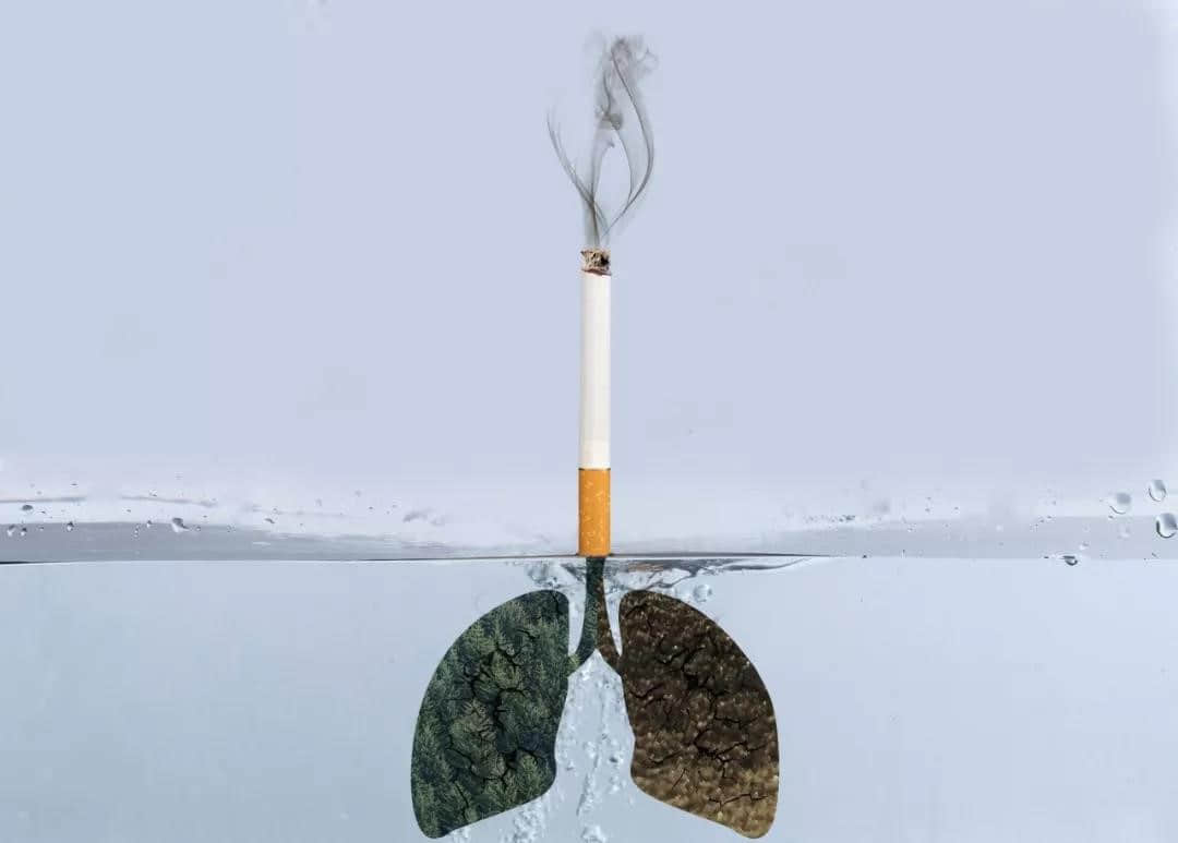 負(fù)氧離子助您遠(yuǎn)離慢阻肺，健康呼吸每一天