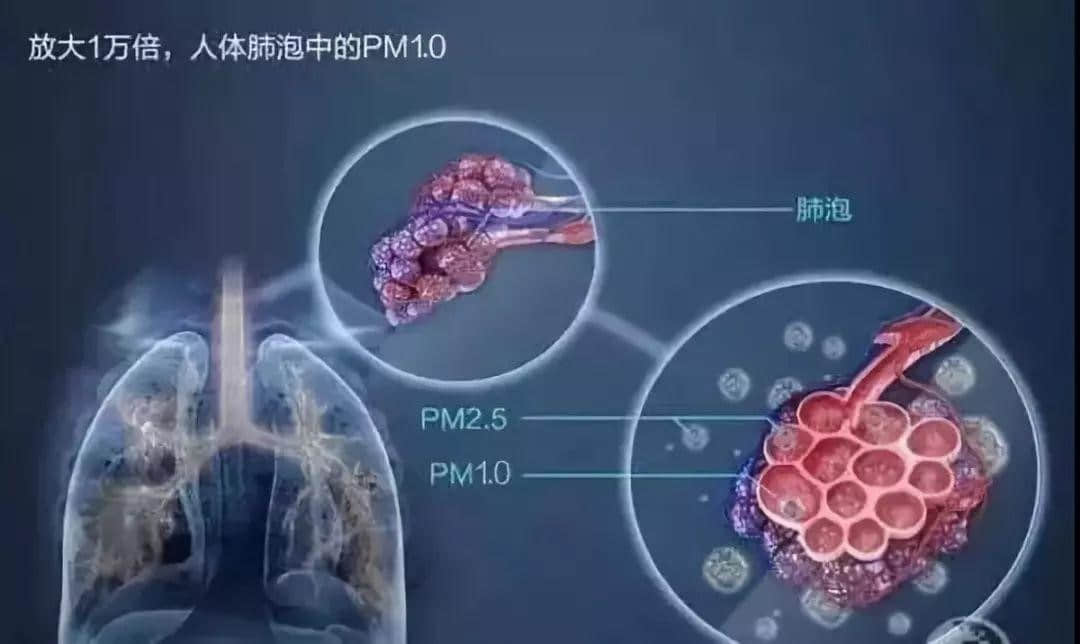 在空氣污染嚴(yán)重的今天，健康生活還需要空氣負(fù)離子助力