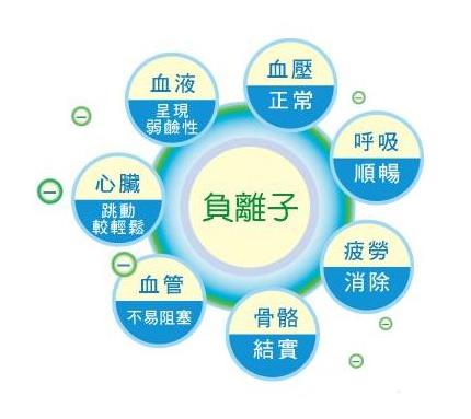 只有小粒徑的負(fù)離子才易于透過人體血腦屏障